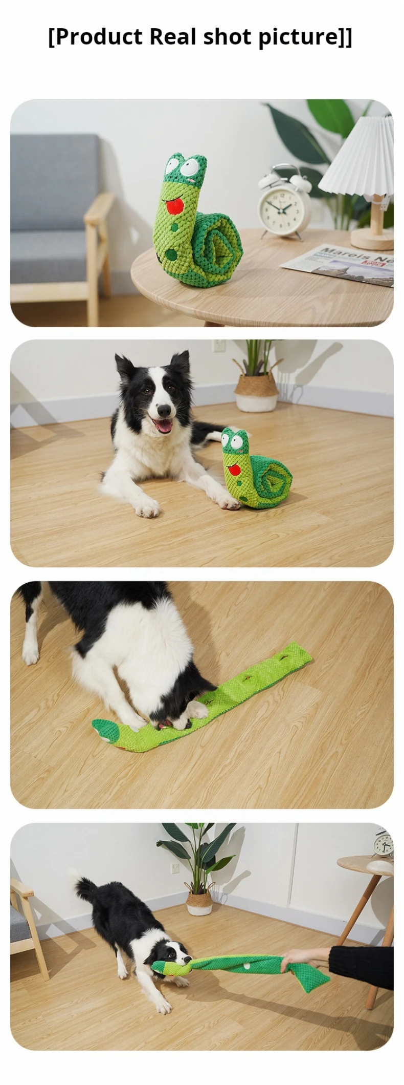 ของเล่นสุนัขแบบมีเสียง Little Frog - Real Shot ของเล่นสุนัขแบบมีเสียง Little Frog - Real Shot